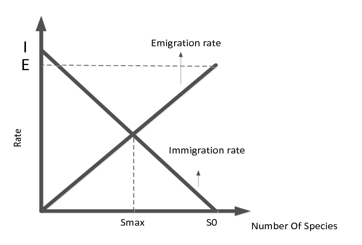 Immigration-Emigration Models